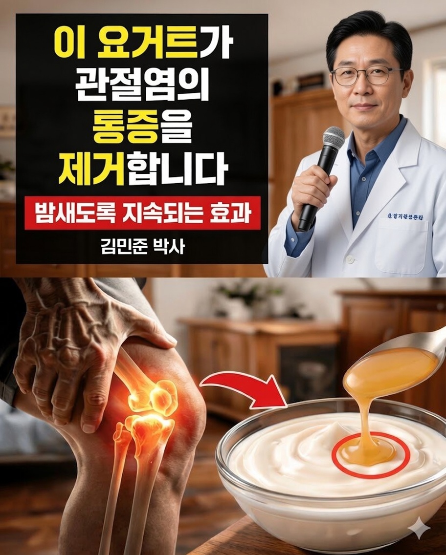60세 이상을 위한 최고의 요거트 4가지: 관절의 편안함을 지원하고 자연스럽게 근력을 유지하세요
