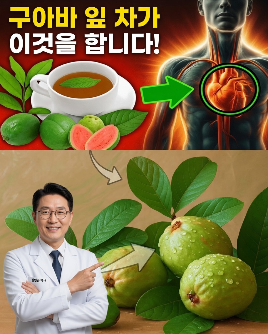 현대 웰빙이 다시 발견하고 있는 구아바 잎의 고대 비밀