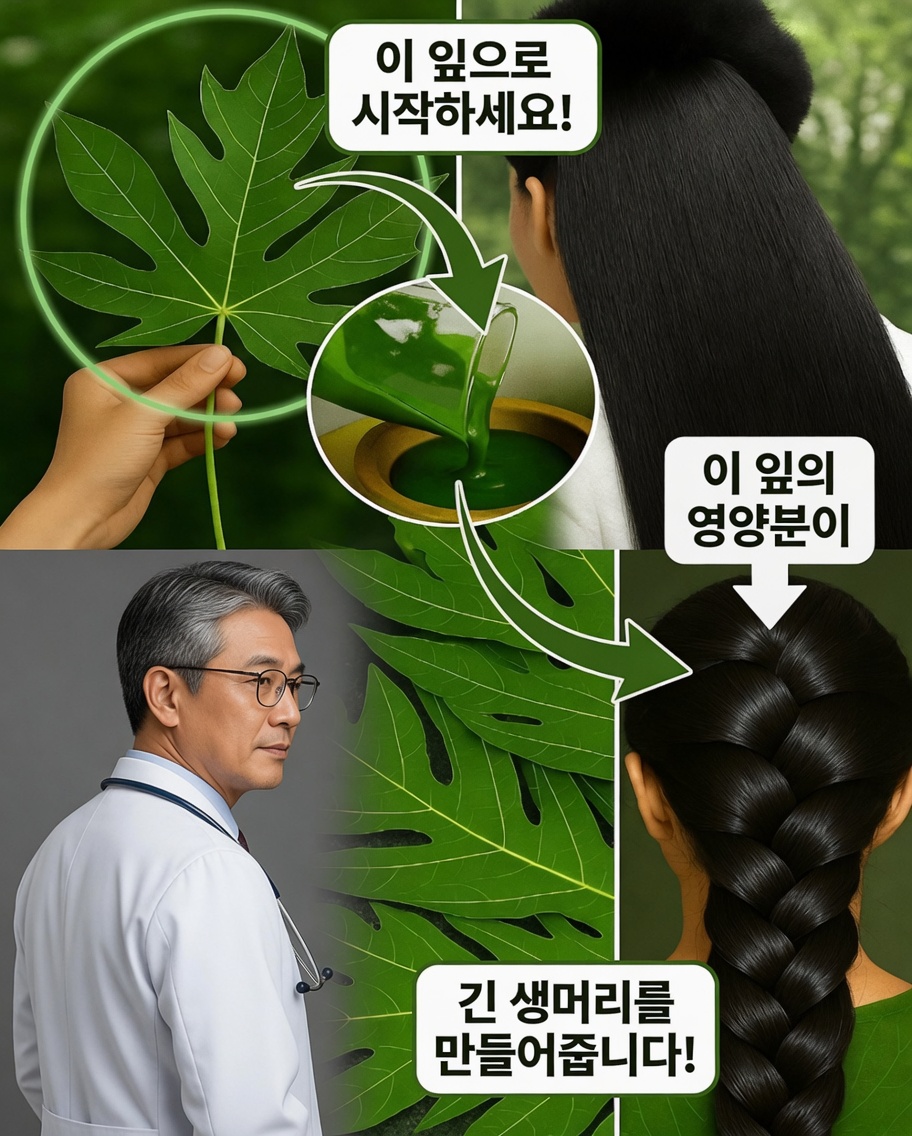 파파야 잎: 많은 사람들이 더 강하고 윤기 나는 머릿결을 위해 사용하는 자연의 비밀