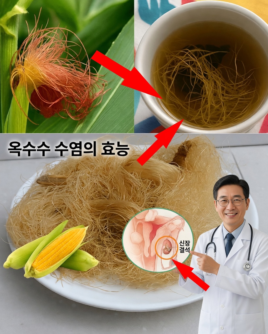 왜 점점 더 많은 사람들이 옥수수수염을 사용하고 있으며, 그 놀라운 건강 효능은 무엇일까요?