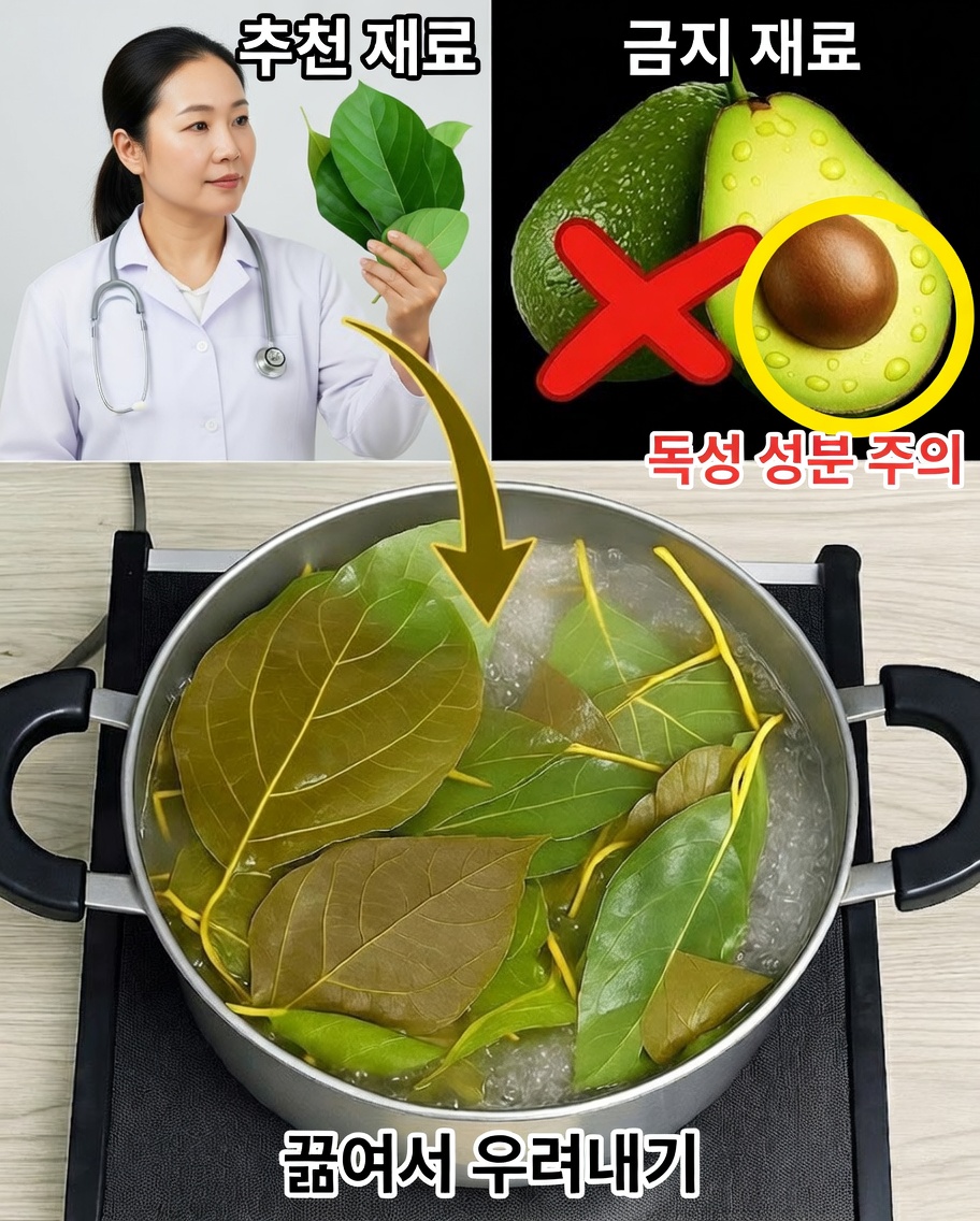 아보카도 잎의 비밀 공개: 거의 아무도 사용하지 않는 천연 슈퍼푸드