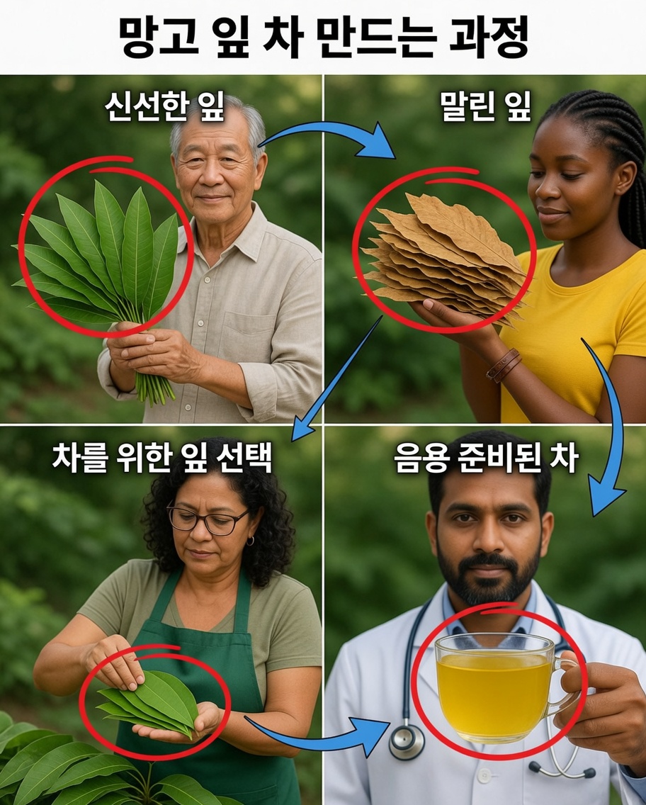 월계수 잎이 60세에 당뇨병과 고혈압에 맞서는 데 어떻게 도움이 되었는가