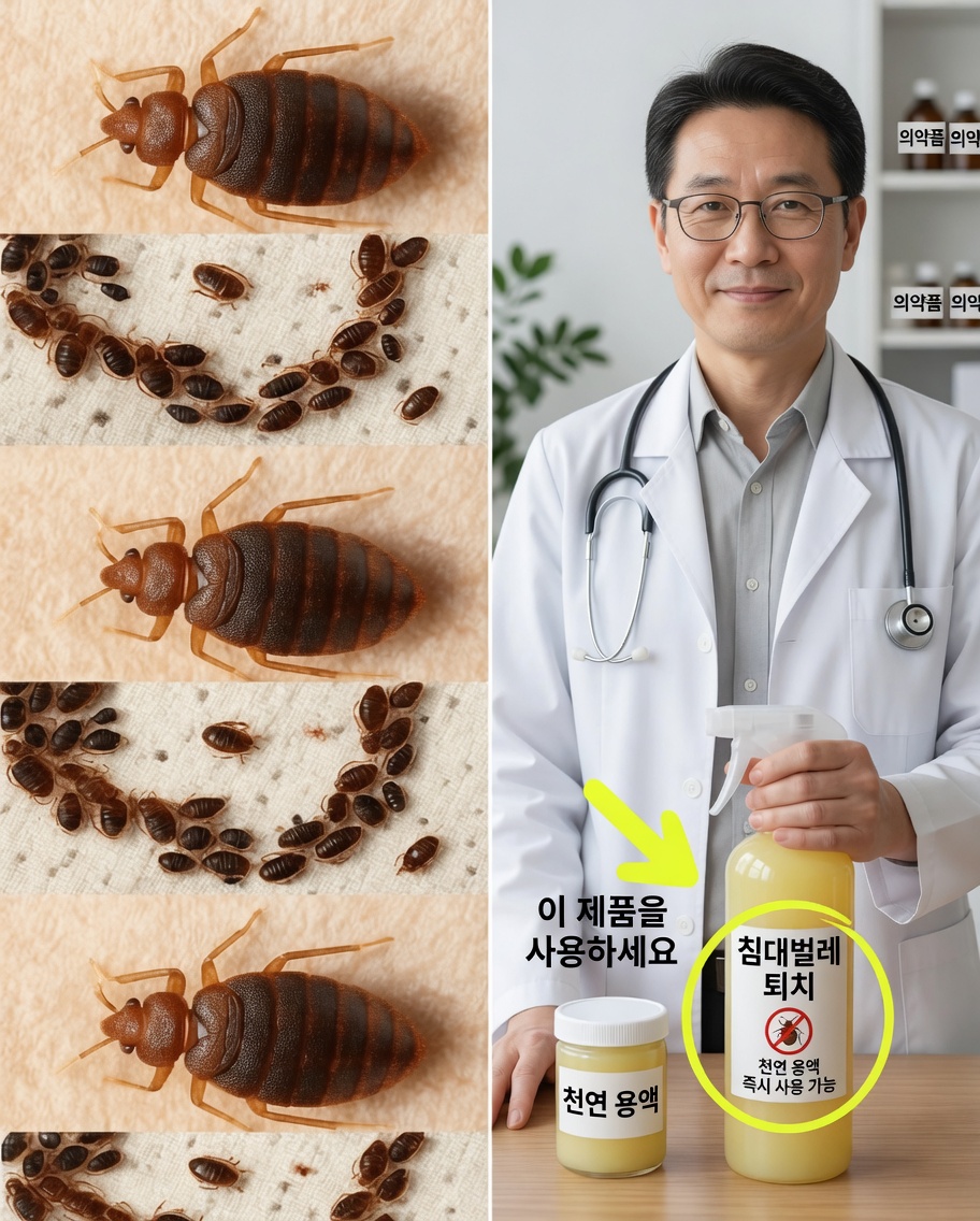 가정 내 해충을 단번에 완전히 제거하는 완벽한 자연 가이드