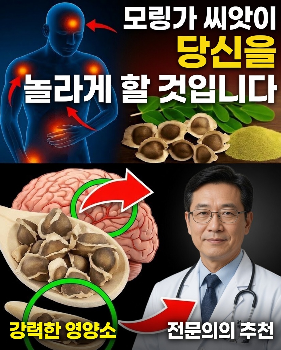 모링가 씨앗이 건강에 숨겨진 보물인 이유