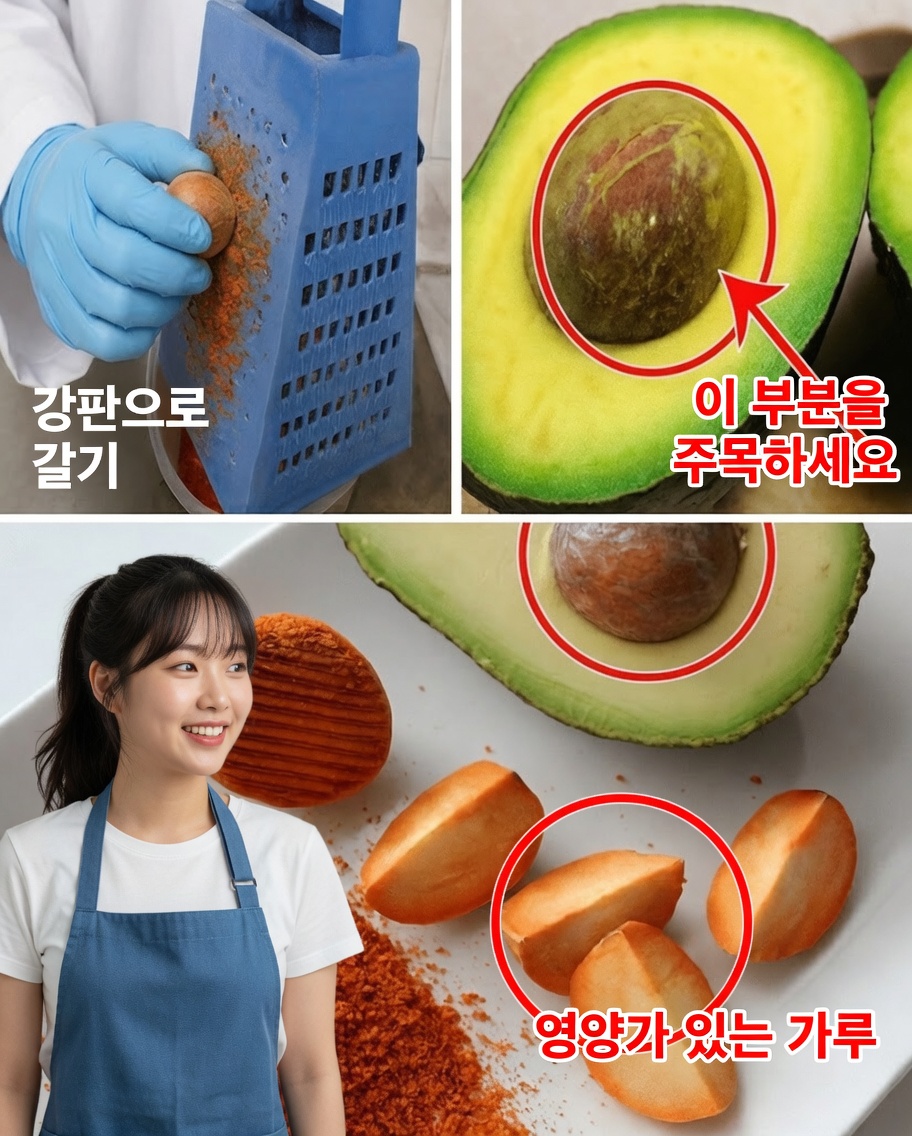 아보카도 씨: 잊혀진 영양 보물
