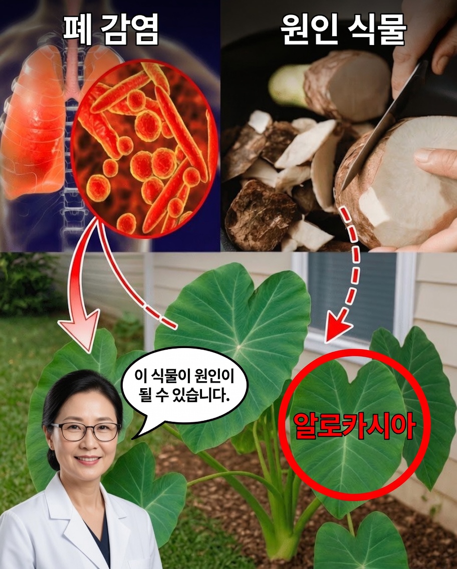 타로의 비밀: 자연 건강을 변화시킬 수 있는 고대 뿌리 작물