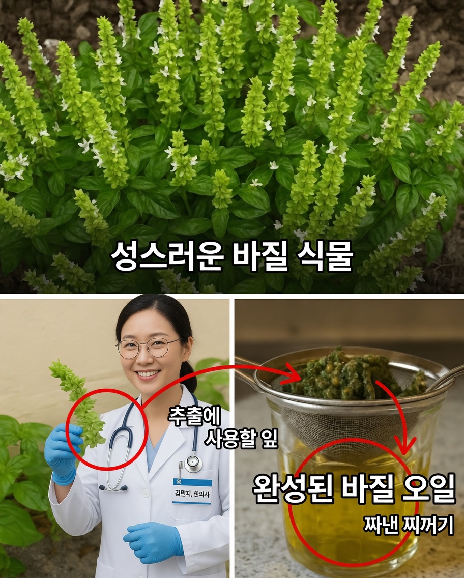 바질 꽃이 당신이 알아야 할 숨겨진 천연 치료제인 이유