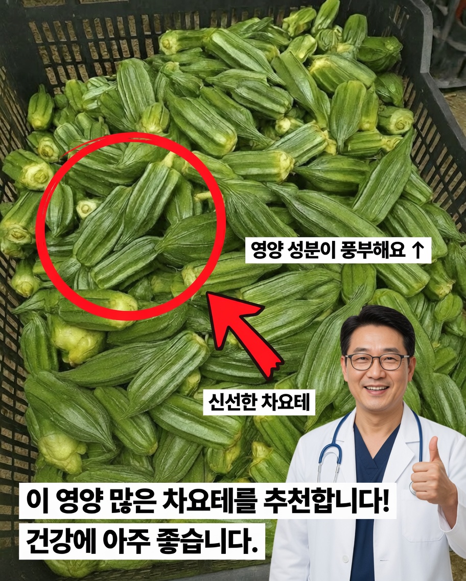 주  여러 번 오크라를 먹으면 얻을 수 있는 놀라운 11가지 이점