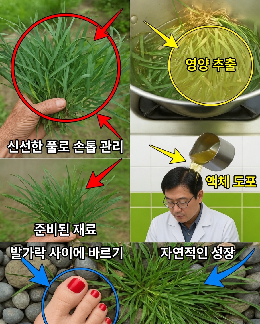카핌-페-데-갈리냐: 흔한 잡초에서 자연 치유의 보물로
