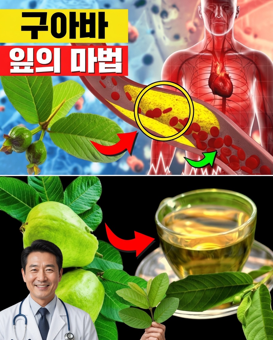 더 나은 건강을 위해 일주일에 두 번 구아바 잎차를 마셔야 하는 17가지 강력한 이유