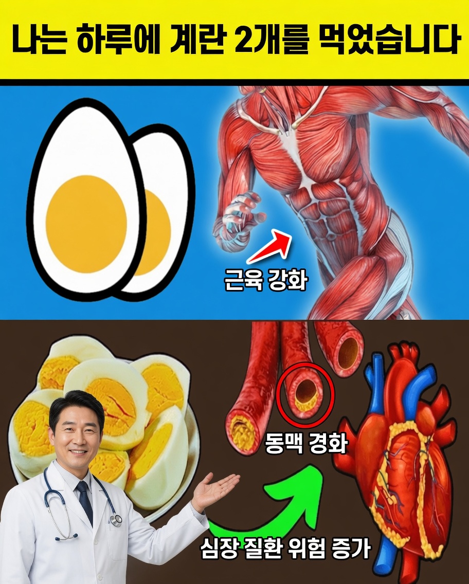 99%의 사람들은 이 사실을 모릅니다: 하루에 달걀 2개만 먹어도 몸속에서 숨겨진 변화가 촉발될 수 있습니다
