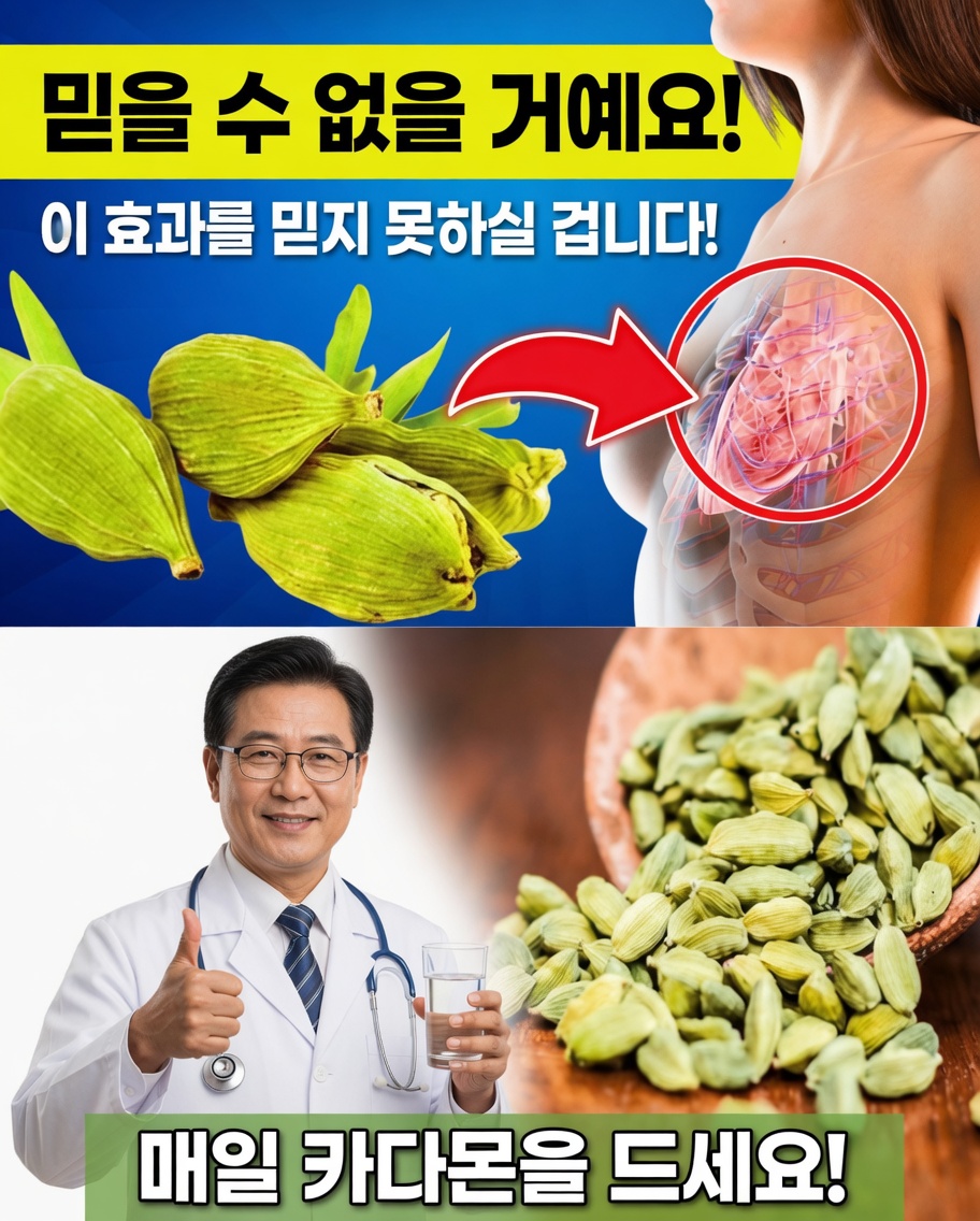 카다멈: 아마 몰랐을 이 작은 향신료의 강력한 건강 효능 12가지
